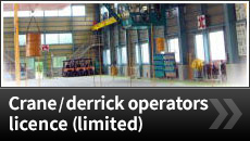 Crane/derrick operators licence (limited)